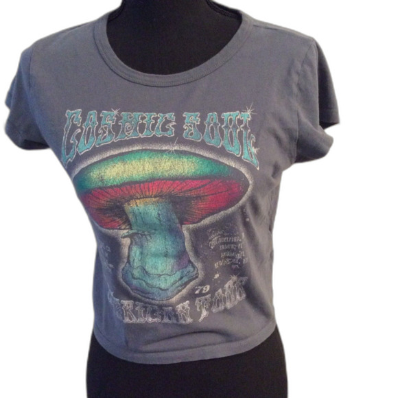 HOLLISTER vintage mushroom Cosmic Soul Tour Tee Medium M cropped - Picture 1 of 8